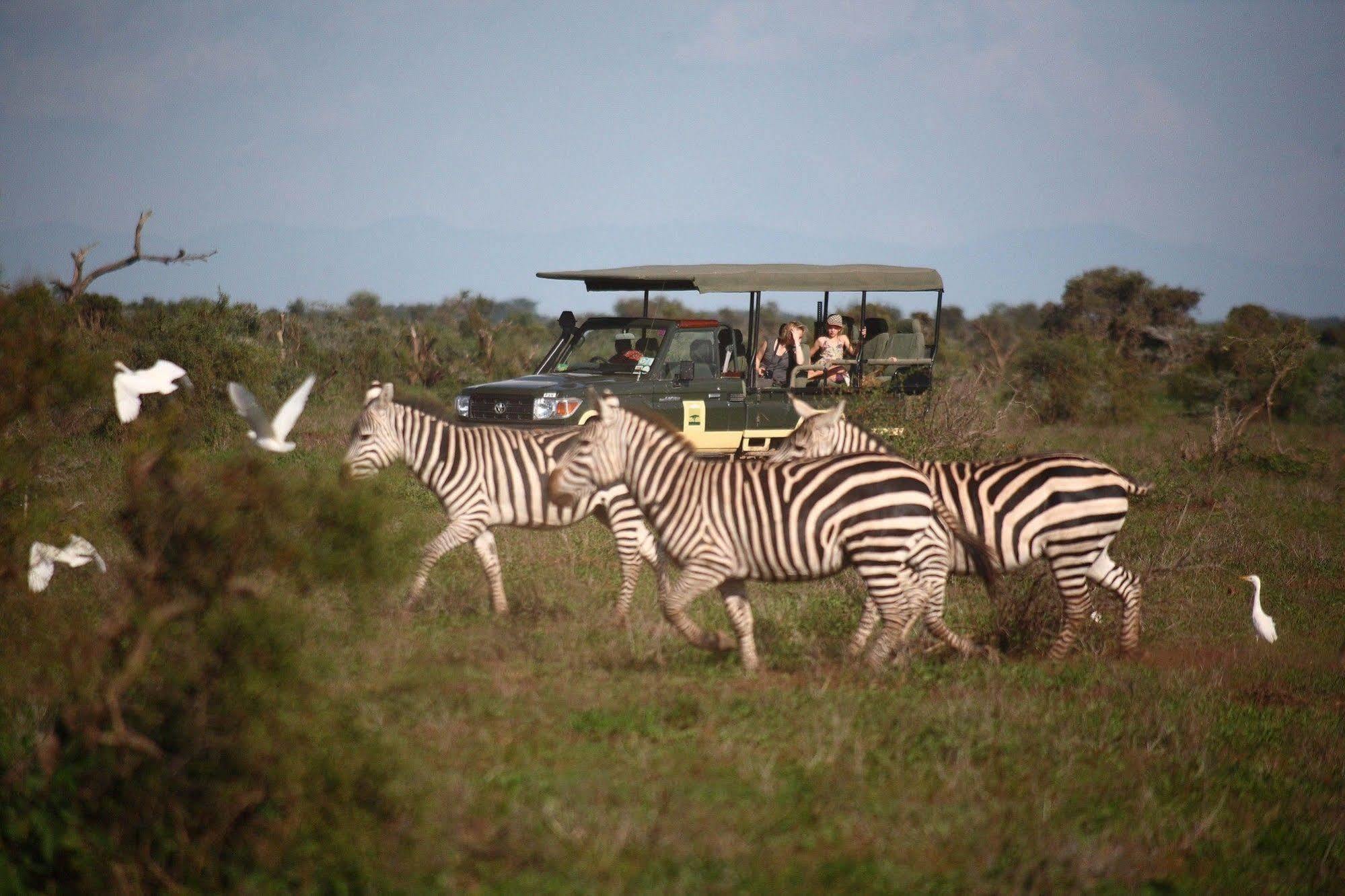 Elewana Tortilis Camp Hotel Amboseli Exterior photo